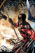 Bruce Wayne - The Road Home: Red Robin #1